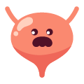 泌尿科